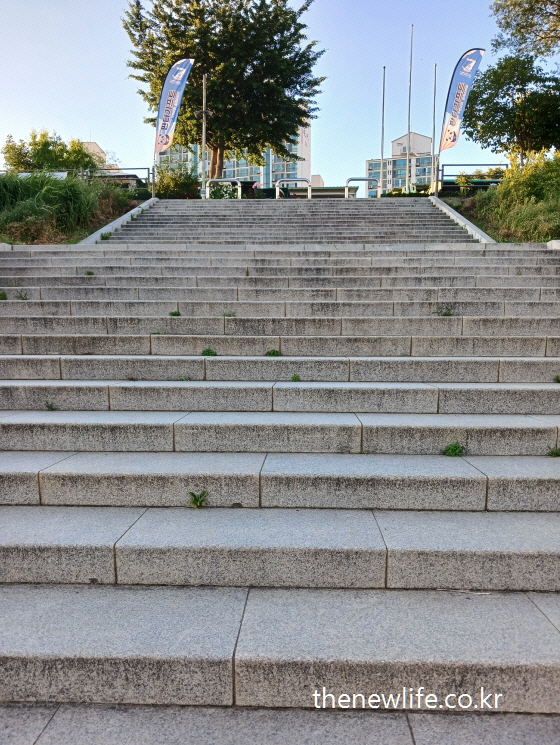 “Concrete stairs in an urban park – typical scene for stair climbing exercise-“도시 공원 속 콘크리트 계단 – 계단 오르기 운동효과 실천 장소 예시