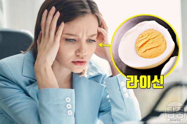 매일 계란 2개 효능,스트레스