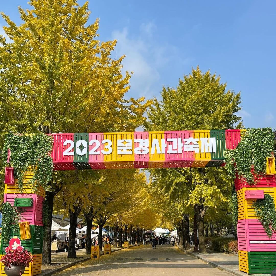 문경사과축제-감홍사과