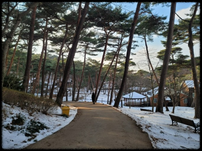 국내 겨울 설경 여행지 Best 10: 눈 덮인 명소와 일출&middot;일몰 스팟