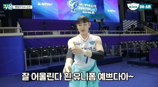 안혜진 배구선수 프로필 음주운전