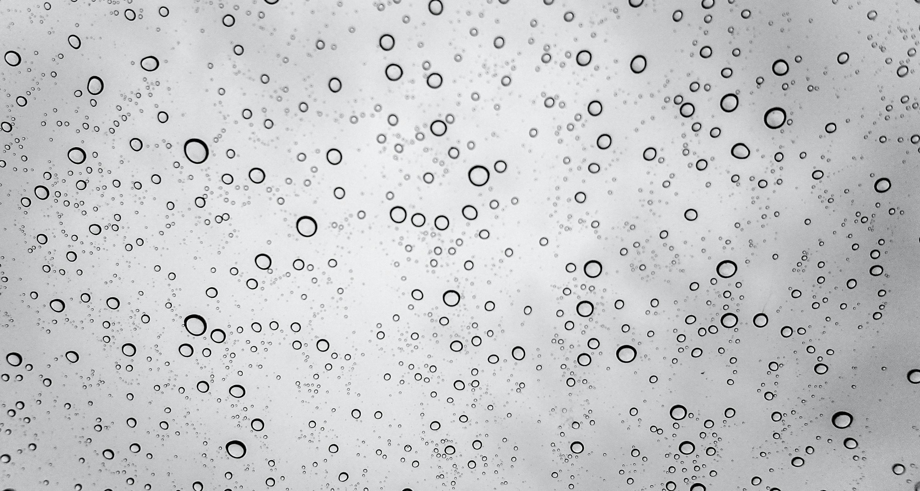 장마철 불청객,곰팡이와 해충 예방법 한눈에 보기