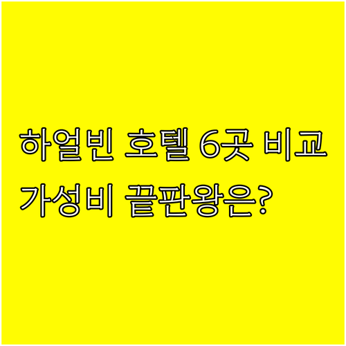 하얼빈 호텔 6곳 특징 비교 분석 가성비 끝판왕은 어디? 하얼빈 호텔 6곳 특징 비교 분석 가