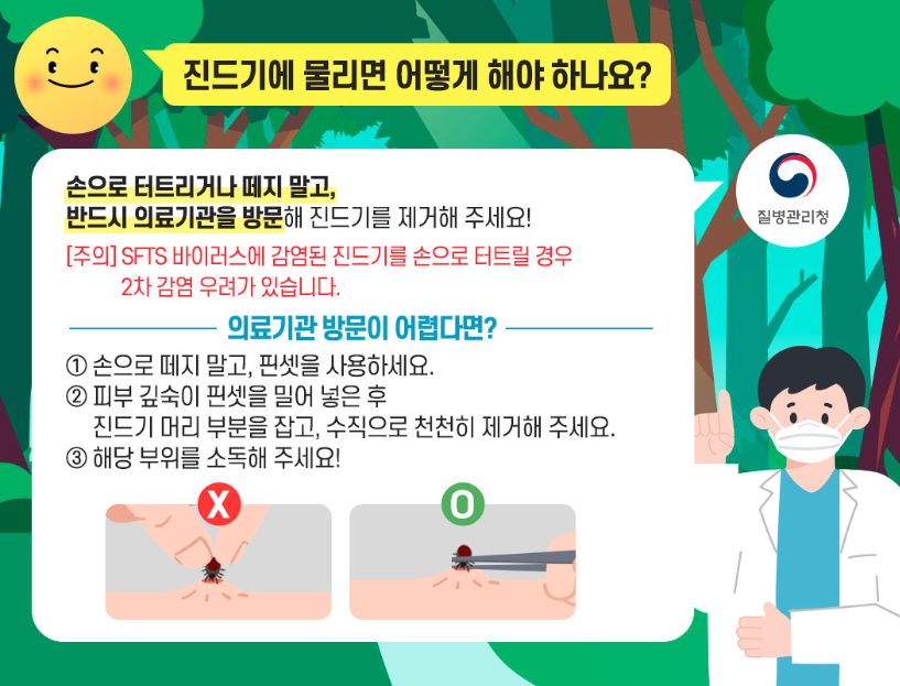 진드기 물렸을 시