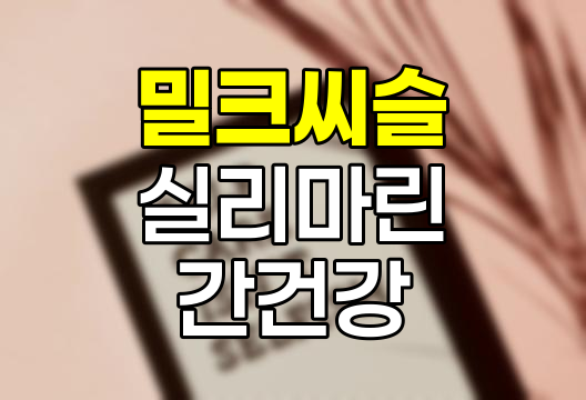 밀크씨슬 효능, 부작용, 올바른 섭취 방법 상세 정리