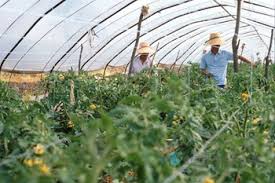 농업직불금 온라인 교육 신청