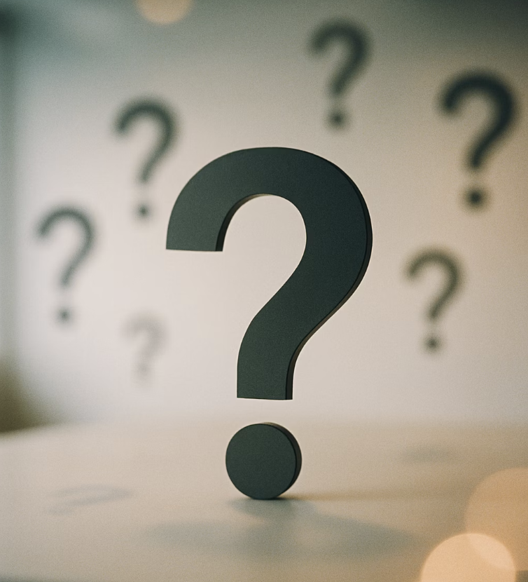 먼지다듬이 발생 원인과 특징 총정리 &ndash; 집안에서 자주 보이는 작은 벌레의 정체