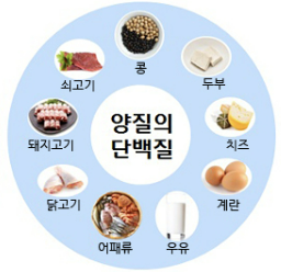 산양유단백질하루섭취량