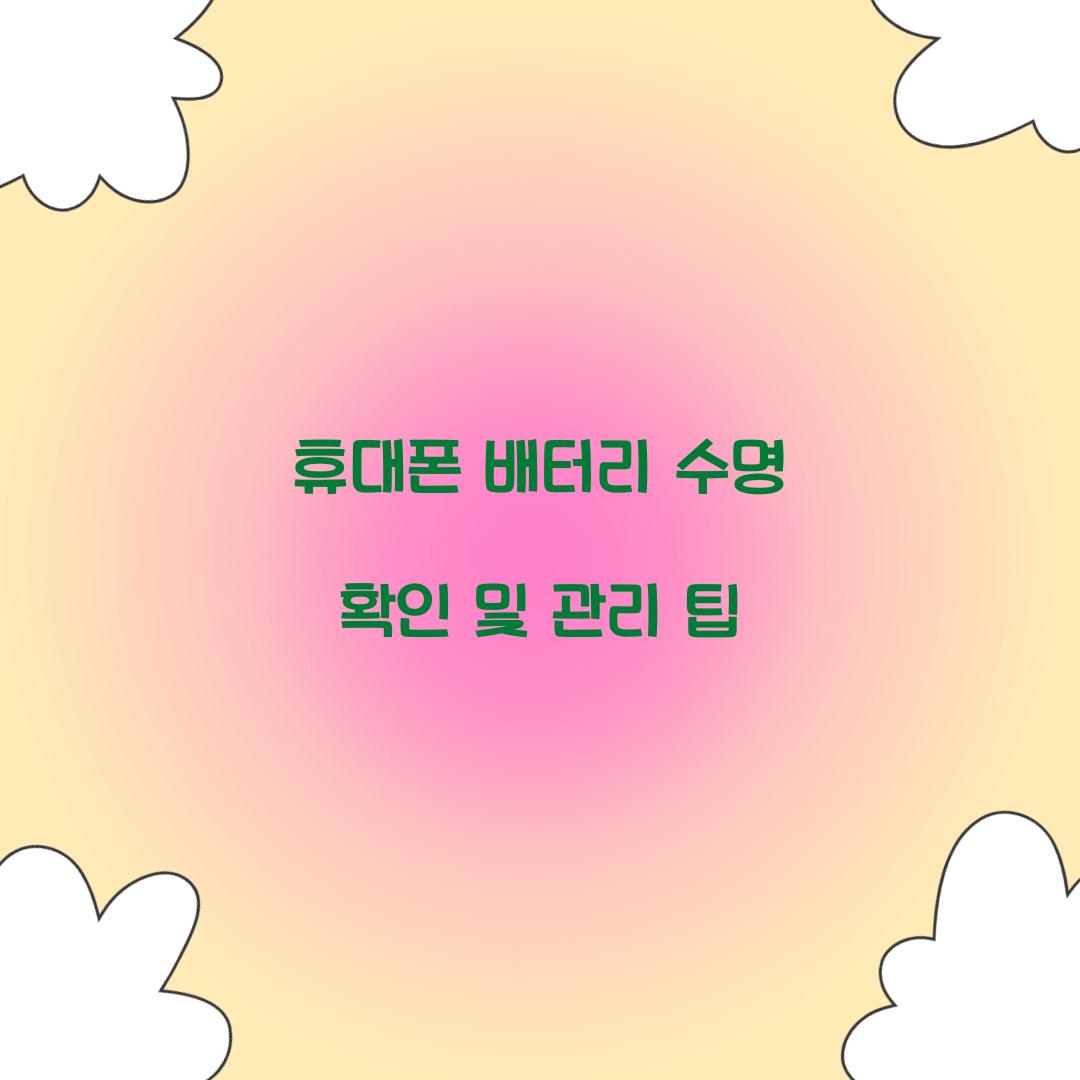휴대폰 배터리 수명 확인
