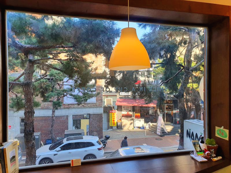 창문으로-보이는-소나무