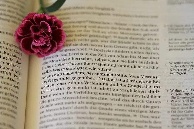 로마서 15장 13절 해석 - 소망의 하나님이 모든 기쁨과 평강을 너희에게 충만하게 하사_3