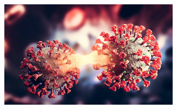 코로나 예방접종 핵심 요약 안내