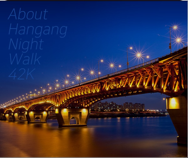 한강나이트워크 2022 기본정보, 추천 준비물, 주차(대중교통), 기념품