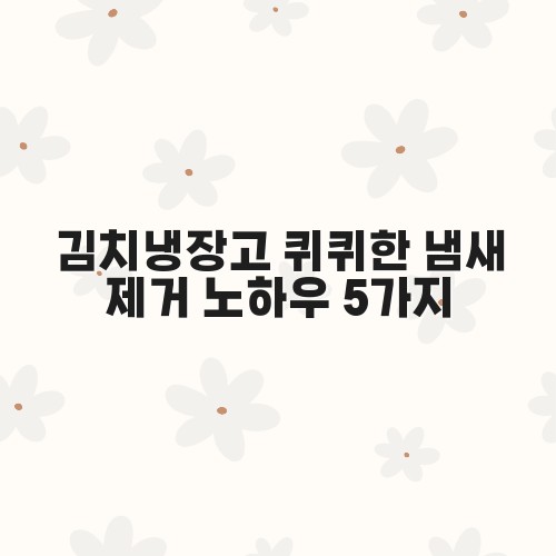 김치냉장고 퀴퀴한 냄새 제거 노하우 5가지