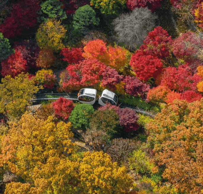 단풍속 모노레일