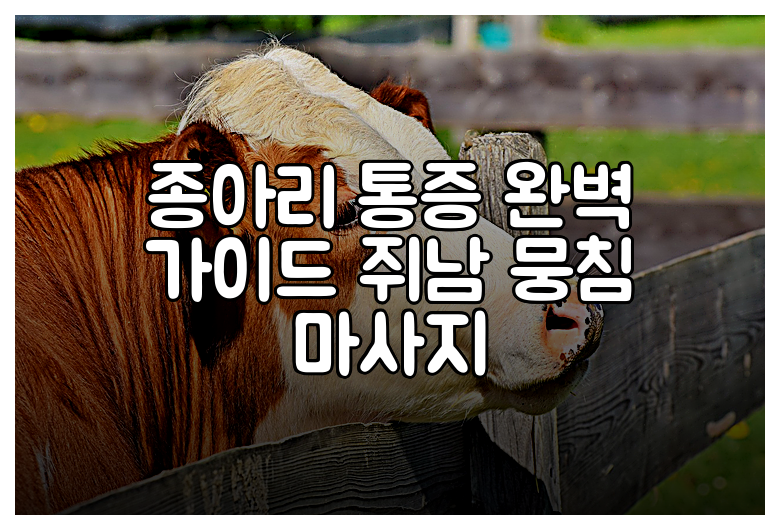종아리 통증 완벽 가이드 쥐남 뭉침 마사지