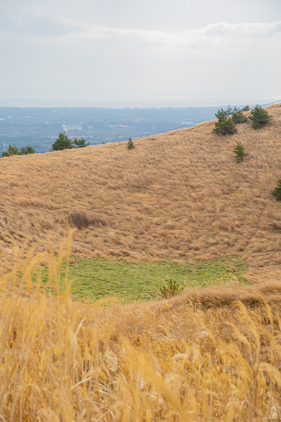 용눈이 오름 분화구
