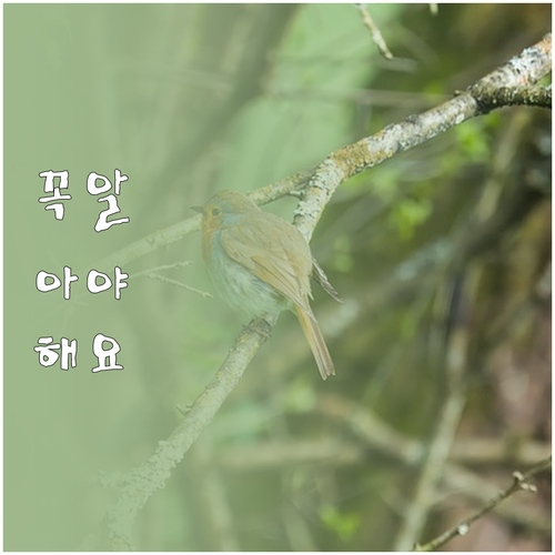 아침 운동: 지방 연소 극대화, 하루..