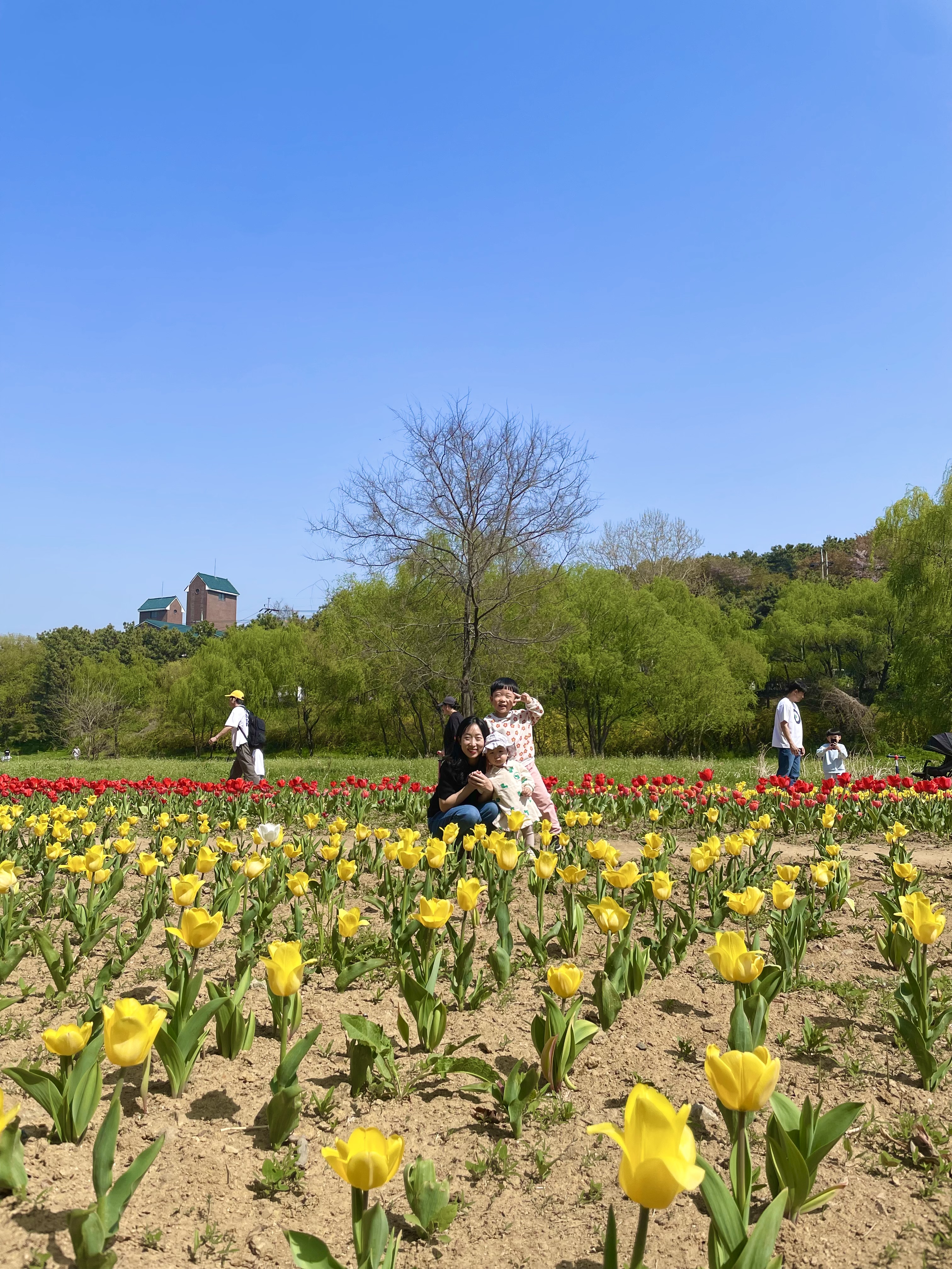 승기천 꽃피나 봄 축제 완벽 가이드