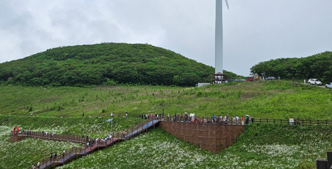 평창의 ‘청옥산 육백마지기 숲길’