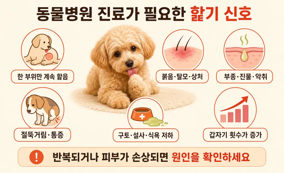 강아지가 반복적으로 핥을 때 동물병원 진료가 필요한 증상