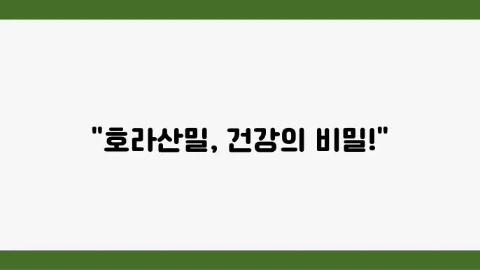 호라산밀 효능 당지수 낮고 단백질 풍부한 곡물