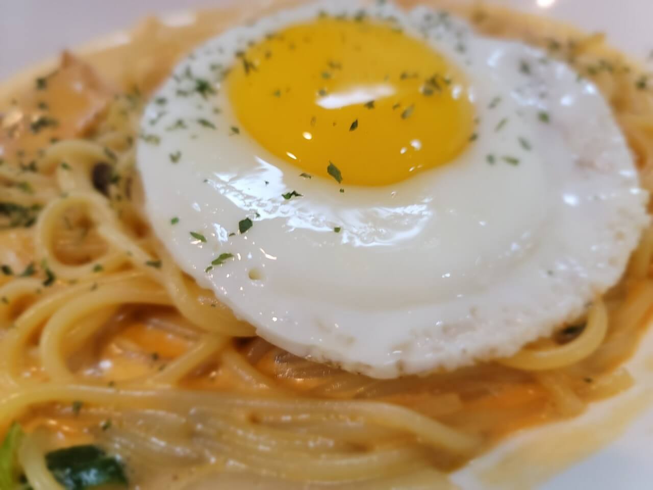 생방송오늘저녁 함박스테이크 함박패티 강남 송파