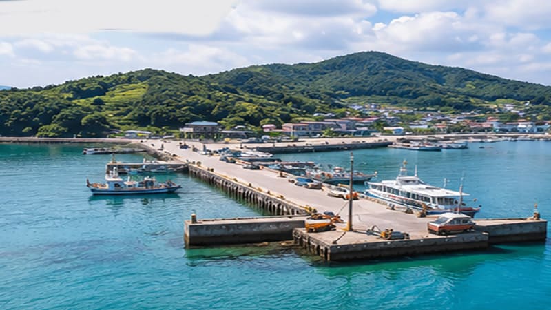 <img src="seonchang-dock-overview.jpg" alt="어선들이 정박해 있는 선창의 풍경">
