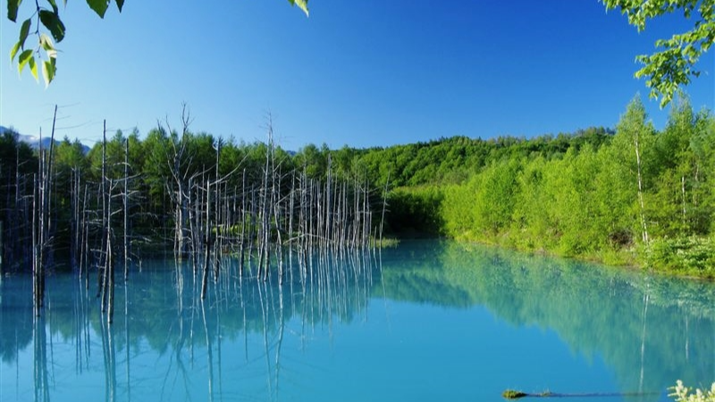 비에이 블루폰드 물빛 풍경