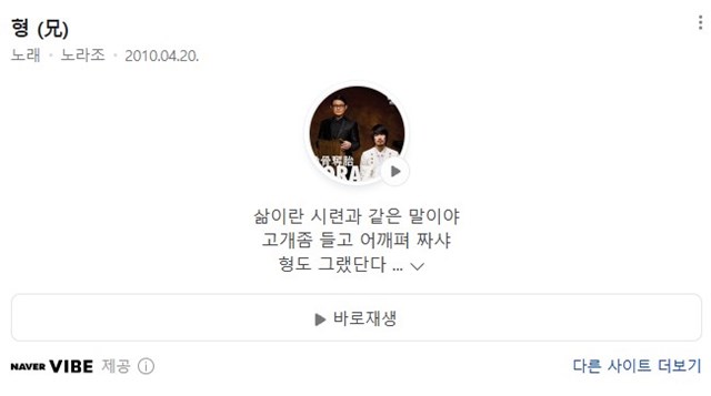 노라조 형 곡정보 네이버캡쳐