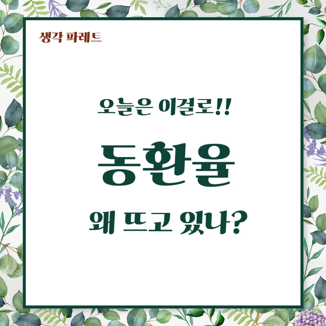 동환율 변동과 실생활에서의 활용법