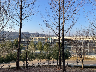 겨울 산책이 특별한 이유, 차분한 분위기 속에서 깊은 힐링