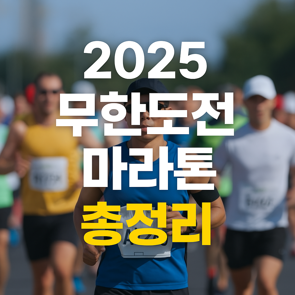 2025 무한도전 마라톤 총정리