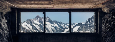 10월 금리 인하 시 예상 시나리오, 써치랜드