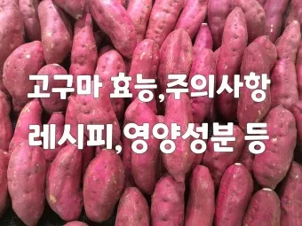 고구마 효능_6