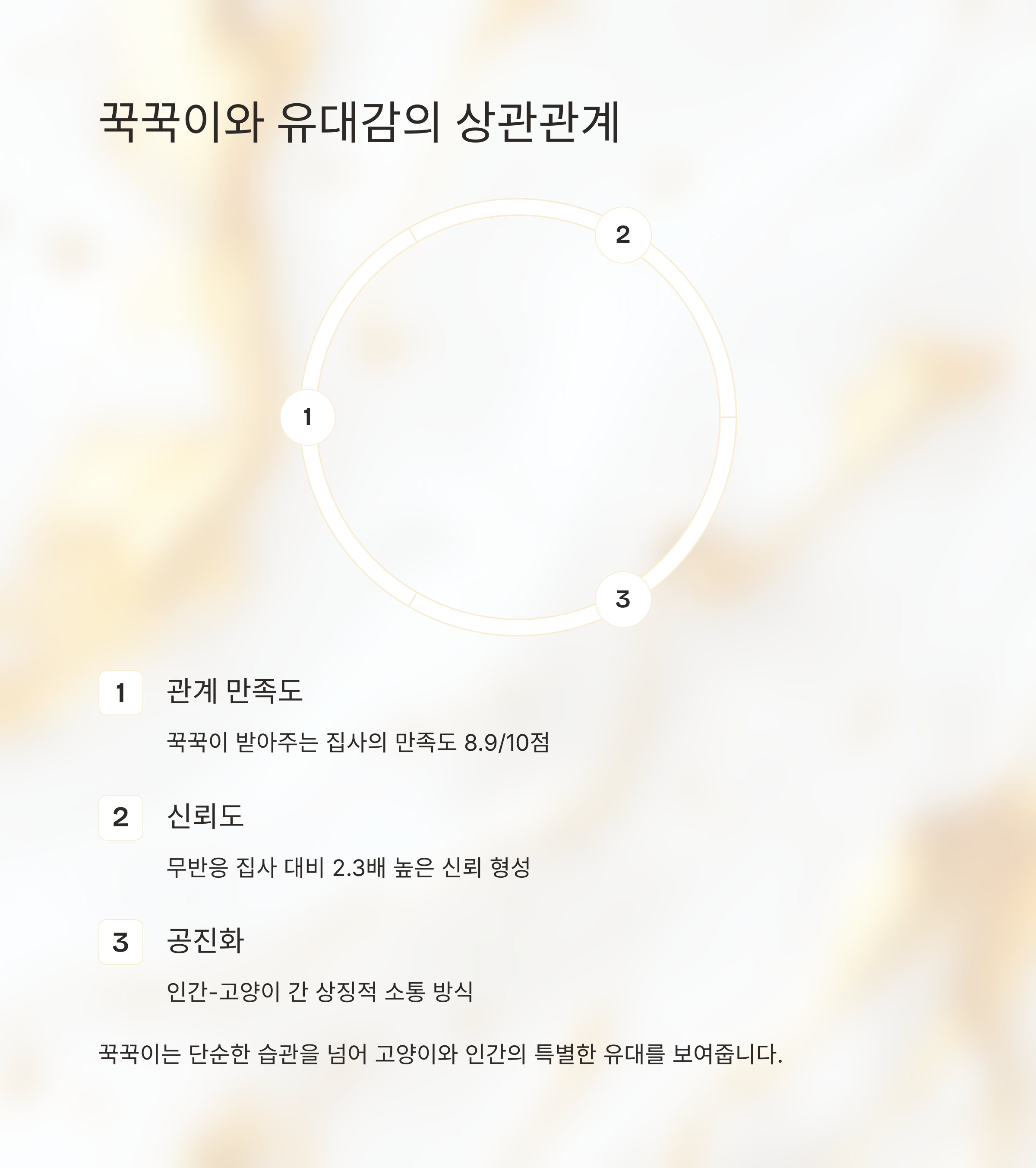 꾹꾹이와 유대감의 상관관계