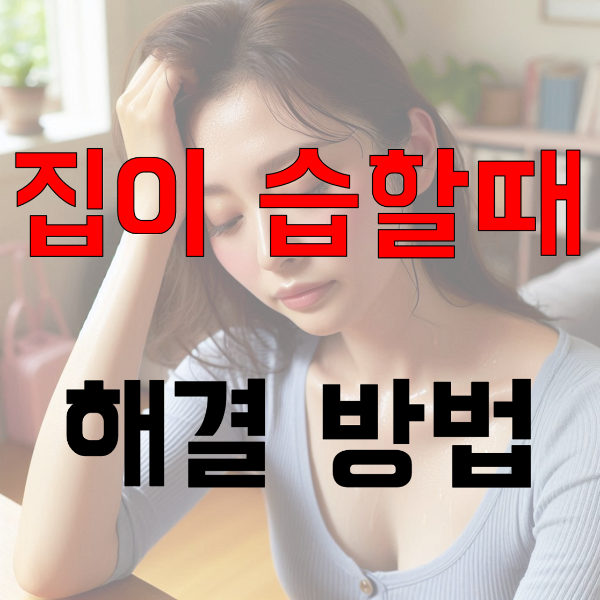 집이 습할때 해결 방법