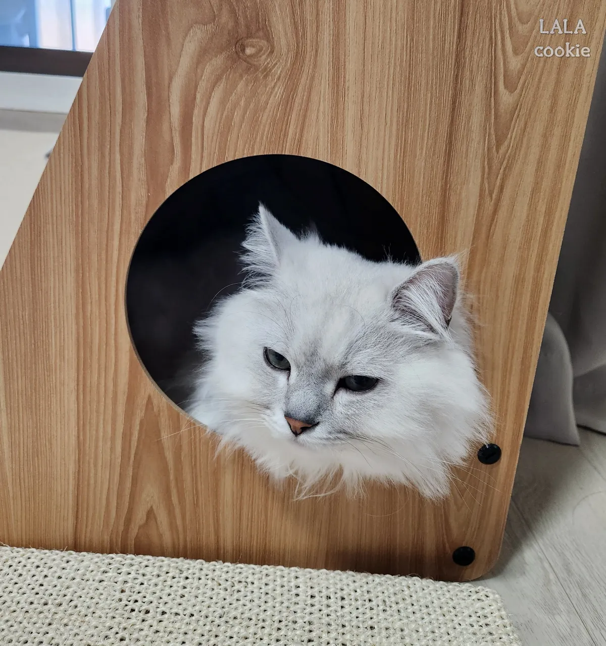 고양이-숨숨집-스크래처형