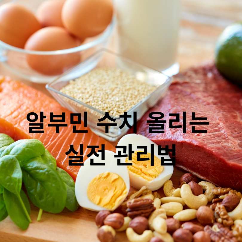 알부민 수치 낮을 때 나타나는 증상, 원인과 관리법