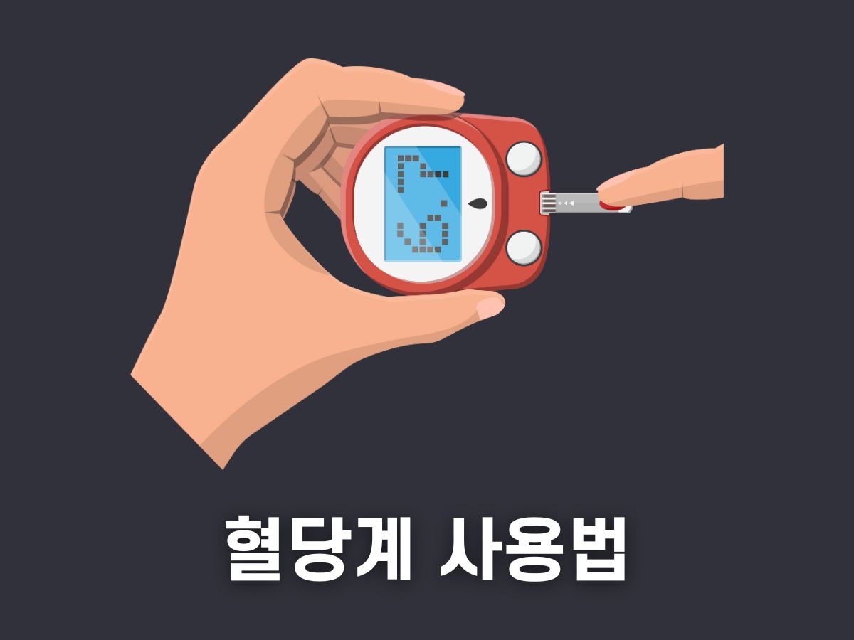 혈당계 사용법 (혈당 체크기)