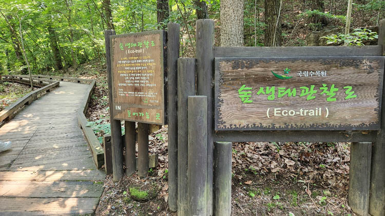 숲생태관찰로-입구