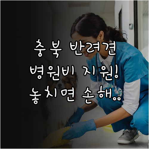 충북 반려견 의료비 지원 혜택과 시군..