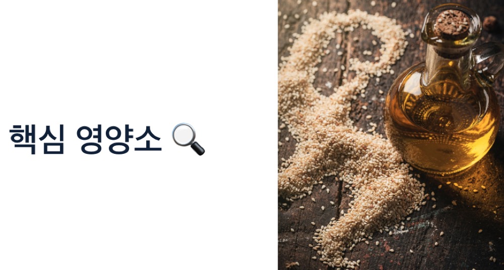 참기름 효능 핵심 영양소