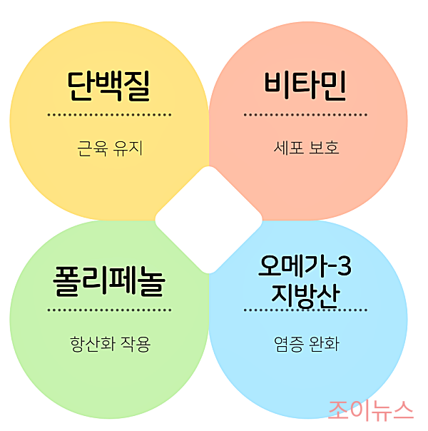 항산화 식단, 단백질/폴리페놀/비타민/오메가-3지방산