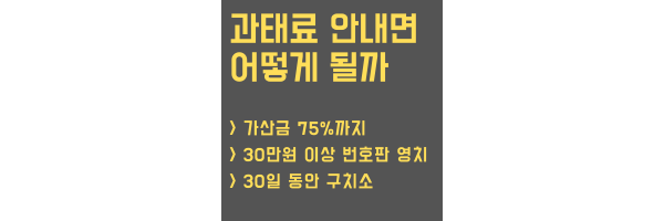 과태료 안내면 설명