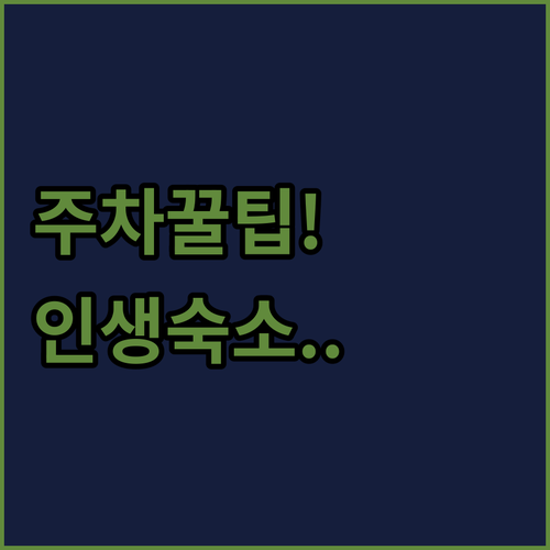 강원도 고성 아야진항 회센터 주차 꿀..