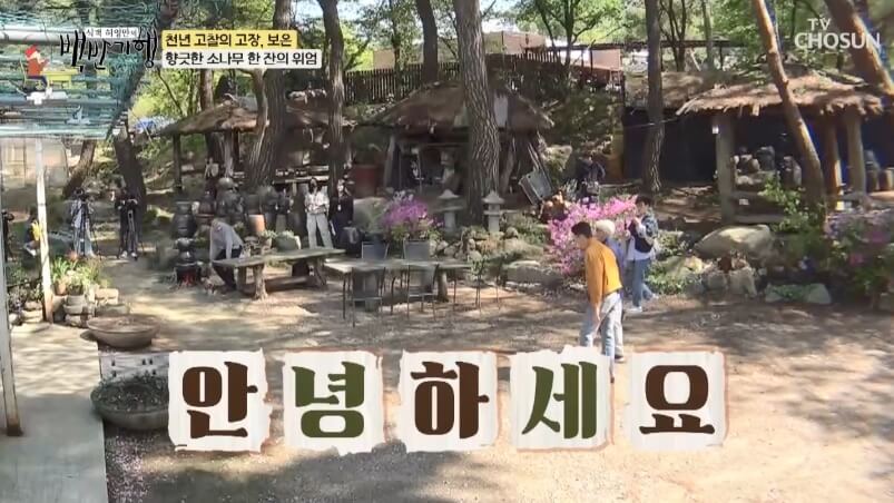 식객 허영만의 백반기행 299회 정일우의 보은 밥상 충북 보은 자연산 버섯전골 맛집 구병산골가든