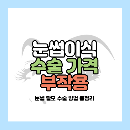 눈썹이식 수술 가격