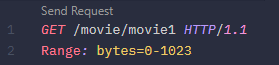 206 Partial Content