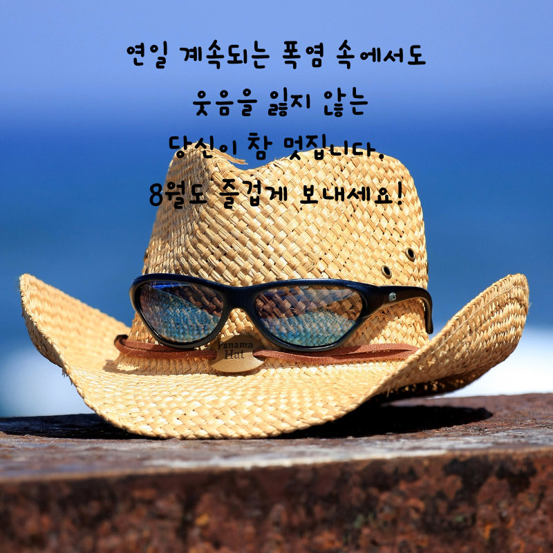 8월 인사말 카톡 문자 메세지 안부 이미지 모음집